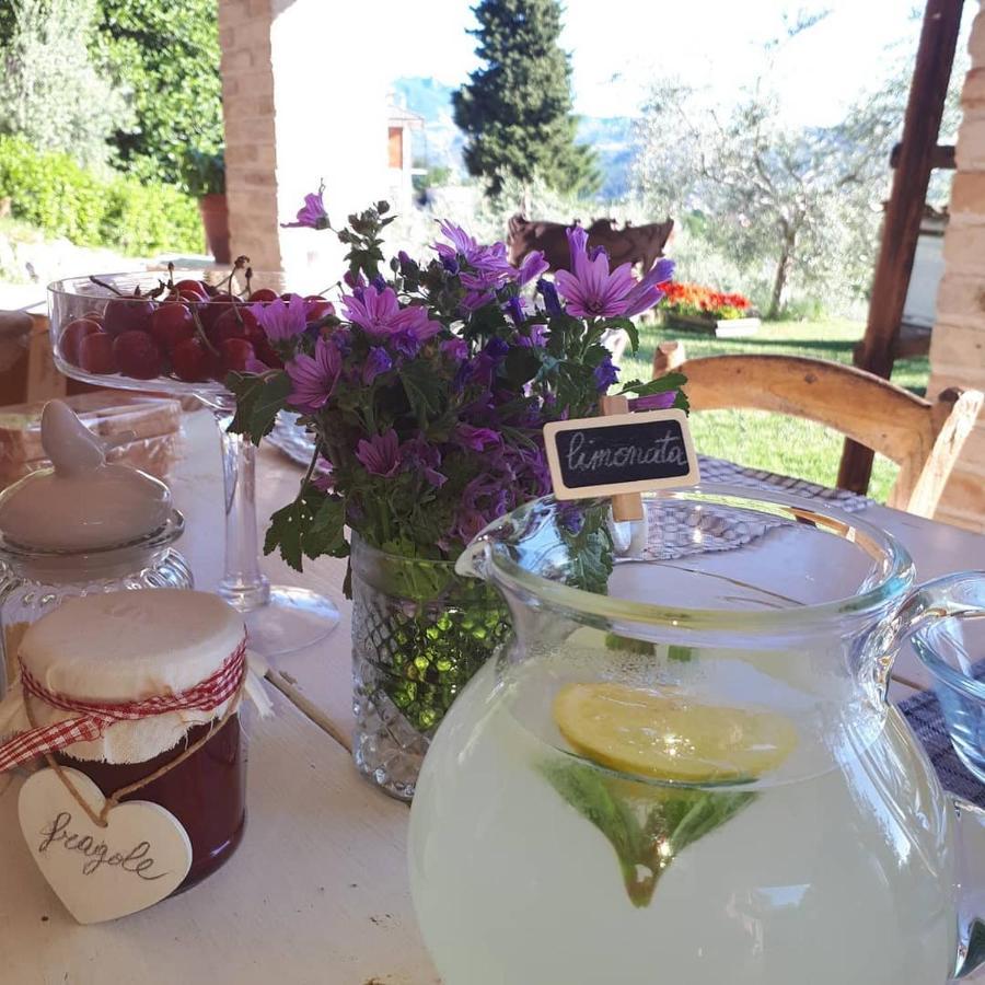 B&B L'Usignolo Асколи Пичено Екстериор снимка
