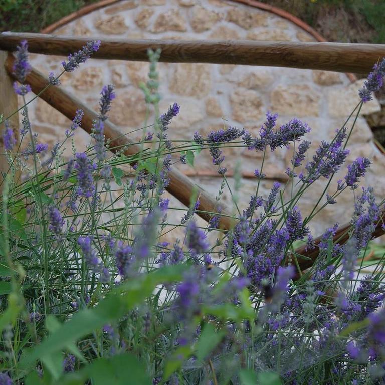 B&B L'Usignolo Асколи Пичено Екстериор снимка