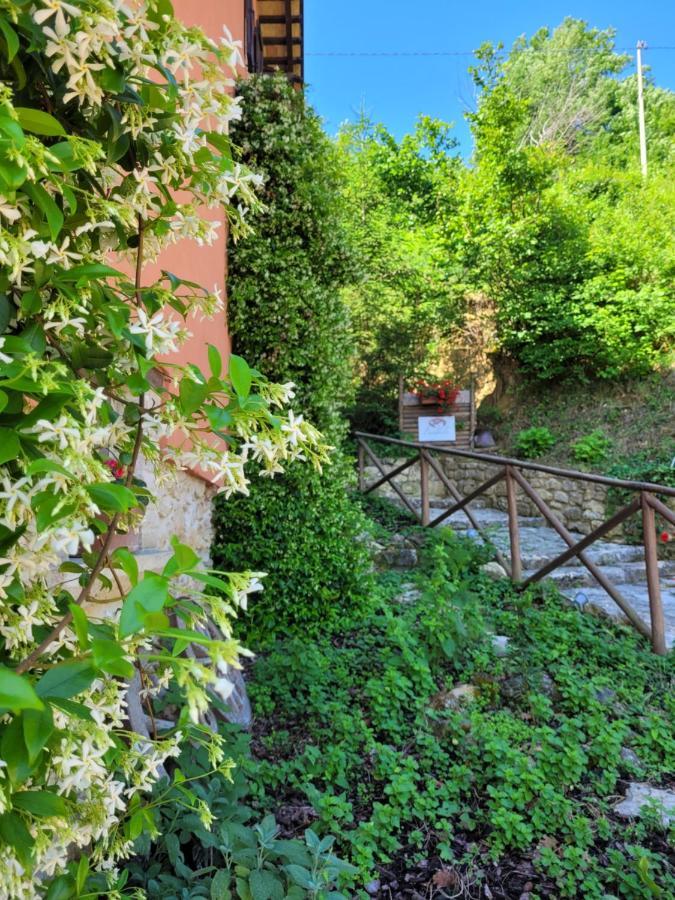 B&B L'Usignolo Асколи Пичено Екстериор снимка