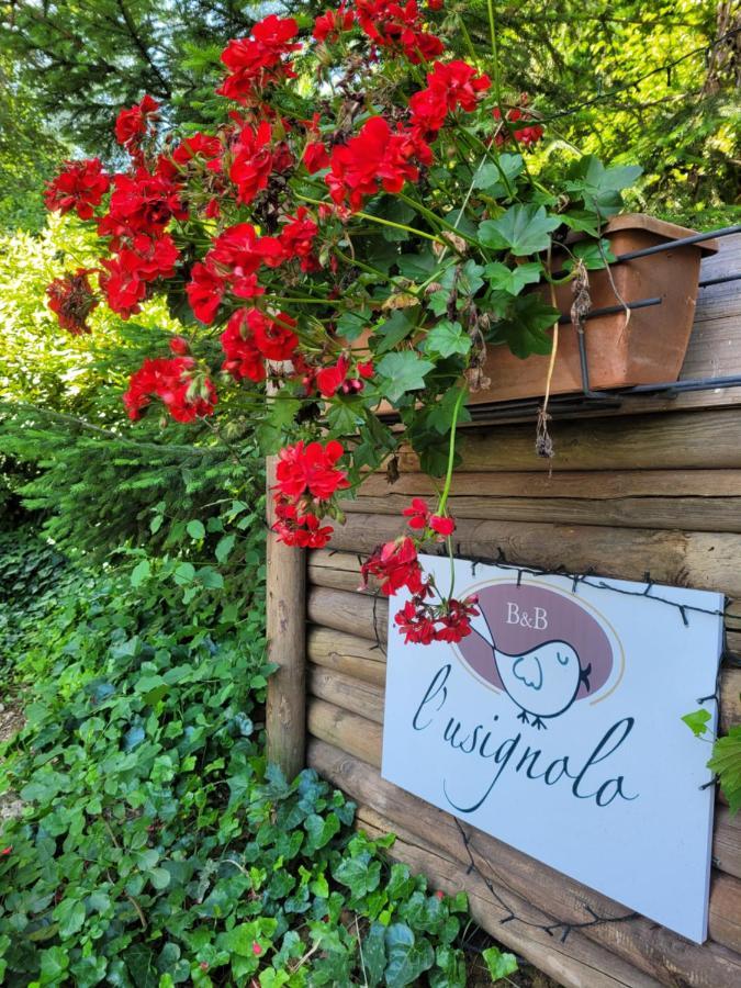 B&B L'Usignolo Асколи Пичено Екстериор снимка