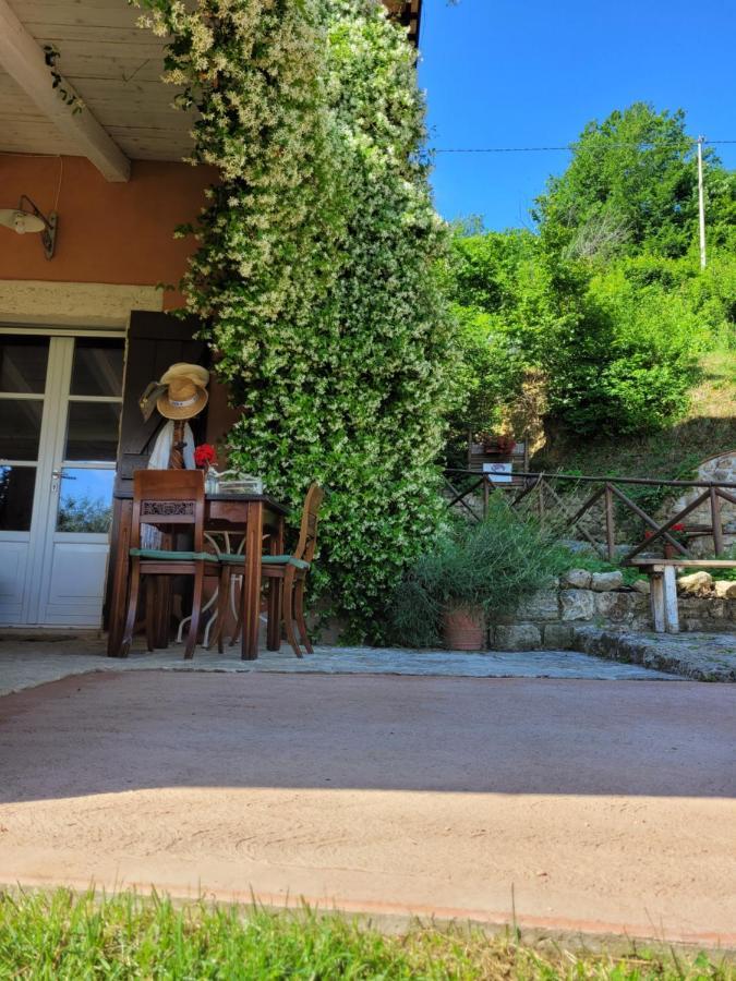 B&B L'Usignolo Асколи Пичено Екстериор снимка